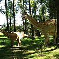 w parku dinozaurów k/Rogowa #dinozaury #park