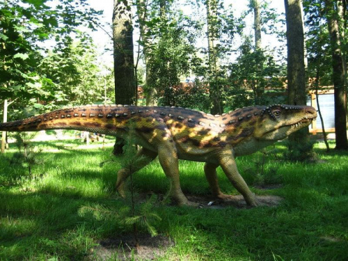 w parku dinozaurów k/Rogowa #dinozaury #park