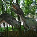 w parku dinozaurów k/Rogowa #dinozaury #park