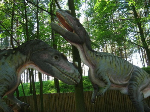 w parku dinozaurów k/Rogowa #dinozaury #park