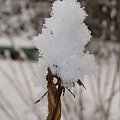 ŚNIEŻNE SZALEŃSTWO I UROKLIWE WIDOKI