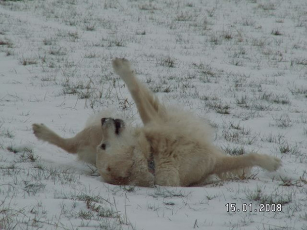 Jak ja to lubię