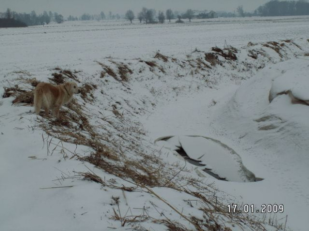 Przewodnicząca komisji