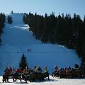 Hala Miziowa - widoczki 1300m n.p.m.