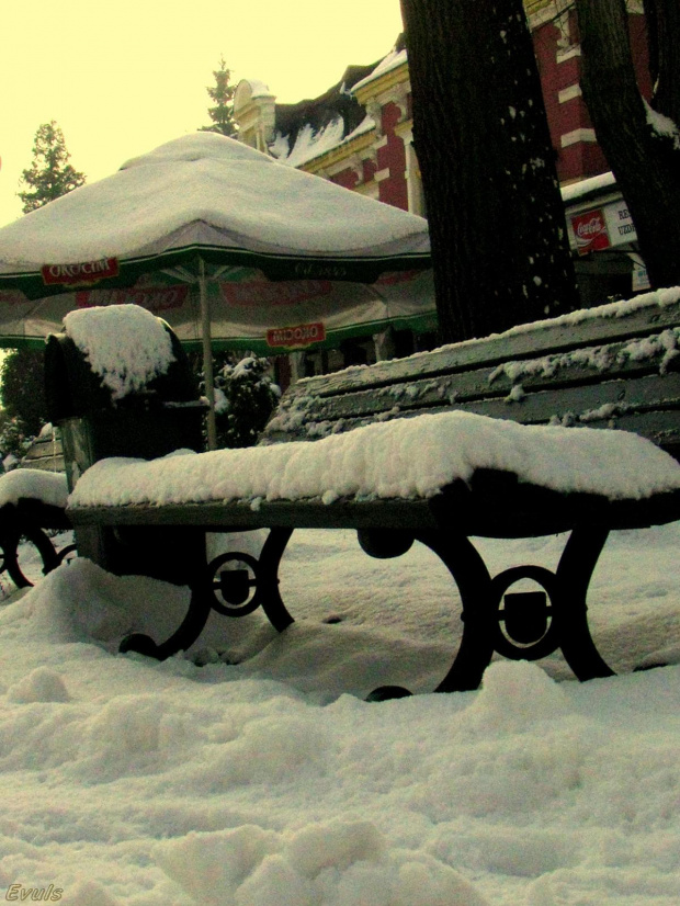 latem siedzą na niej kuracjusze #zima #śnieg #słońce #park #ławka