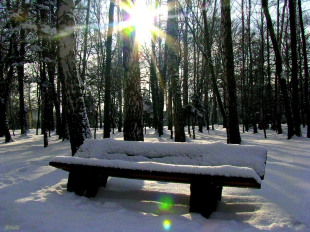w parku #zima #śnieg #słońce #park #ławka