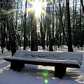 w parku #zima #śnieg #słońce #park #ławka