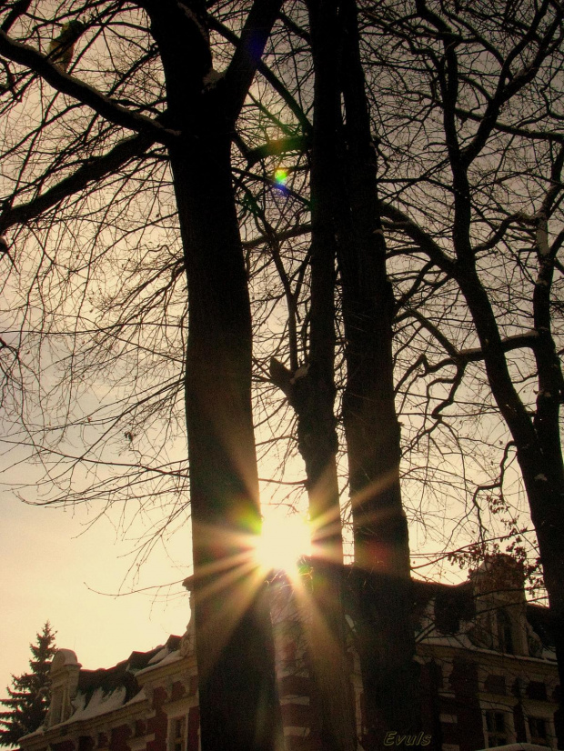 Goczałkowice-Zdrój #GoczałkowiceZdrój #park #słońce #śnieg #zima