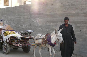 #Kair #piramidy #zwiedzanie #egzotyka