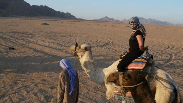 #pustynia #egipt #wielbłąd