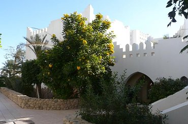 #egipt #SharmElSheikh #egzotyka