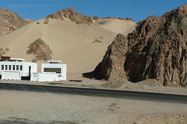 #pustynia #egzotyka #wielbłądy #morze