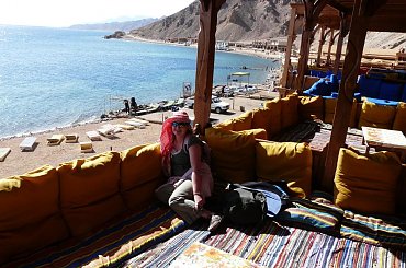 #pustynia #egzotyka #wielbłądy #morze