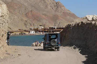 #pustynia #egzotyka #wielbłądy #morze