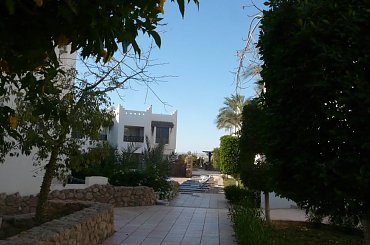 #egipt #SharmElSheikh #egzotyka