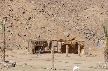 #pustynia #egzotyka #wielbłądy #morze