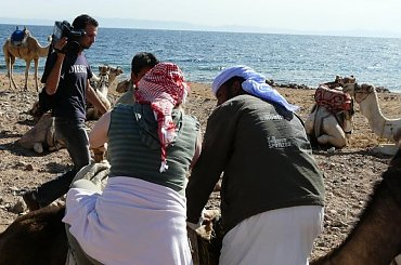 #pustynia #egzotyka #wielbłądy #morze