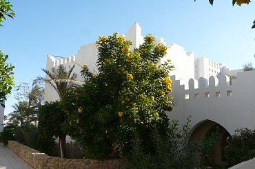 #egipt #SharmElSheikh #egzotyka