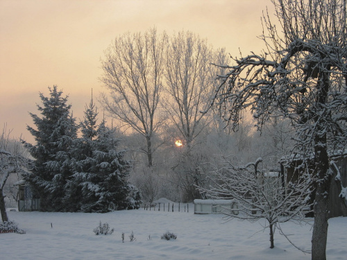 to był taki zachód- siwo- różowy, przesycony dymem #działki #ZachódSłońca #zima #śnieg