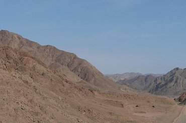 #pustynia #egzotyka #wielbłądy #morze