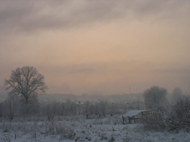 to był taki zachód- siwo- różowy, przesycony dymem #działki #ZachódSłońca #zima #śnieg