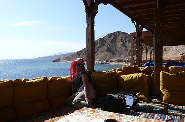 #pustynia #egzotyka #wielbłądy #morze