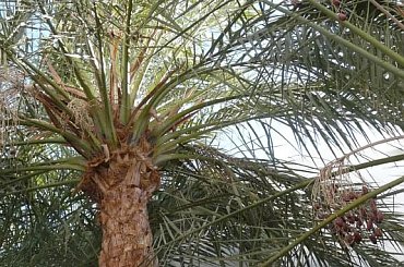 #egipt #SharmElSheikh #egzotyka