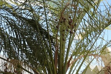 #egipt #SharmElSheikh #egzotyka