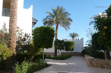 #egipt #SharmElSheikh #egzotyka