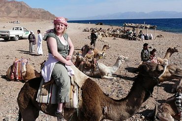 #pustynia #egzotyka #wielbłądy #morze