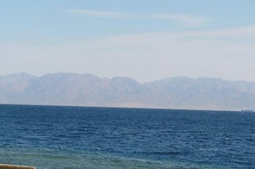 #pustynia #egzotyka #wielbłądy #morze