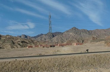 #pustynia #egzotyka #wielbłądy #morze