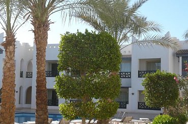 #egipt #SharmElSheikh #egzotyka