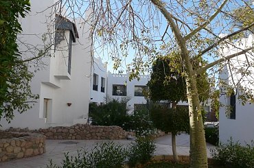 #egipt #SharmElSheikh #egzotyka