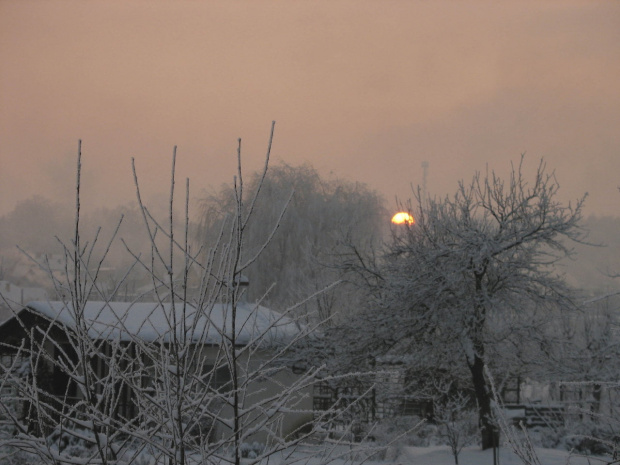 to był taki zachód- siwo- różowy, przesycony dymem #działki #ZachódSłońca #zima #śnieg