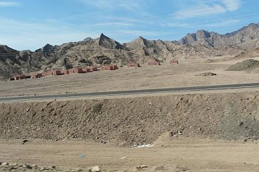 #pustynia #egzotyka #wielbłądy #morze