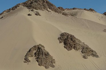 #pustynia #egzotyka #wielbłądy #morze