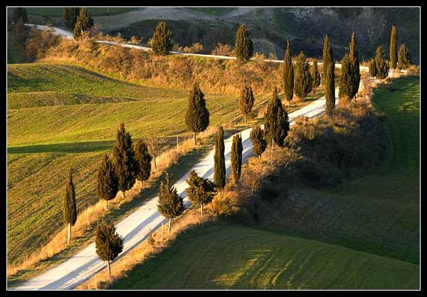 Michele Berti