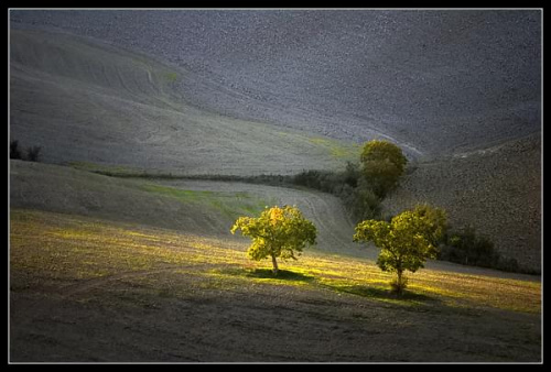 Michele Berti