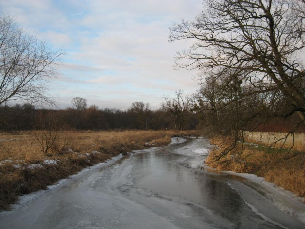 Bystrzyca pod Jarnołtowem