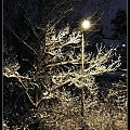 uliczna latarnia #zima #noc #scenerie #śnieg