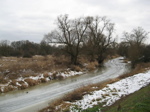 Bystrzyca k/Jarnołtowa