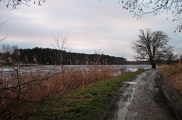 żebyście nie myśleli, że u mnie cały czas piękna zima- 24 stycznia #zalew #niebo #PolnaDroga #kałuże