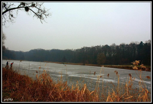 zimowa terażniejszość...staw Olszak #las #jezioro