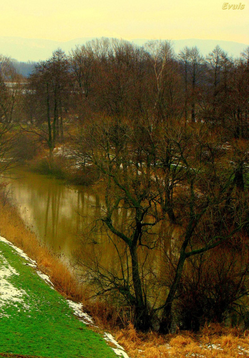 Kraj-Obraz po zimie - spacer #krajobraz #woda #spacer #widok #drzewa