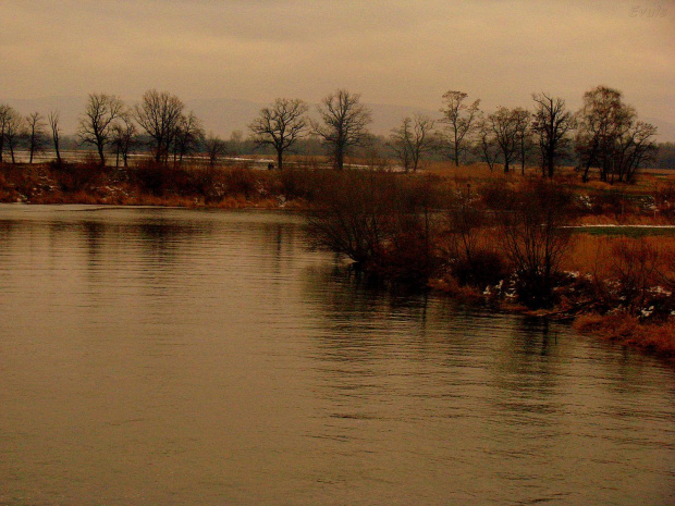 Kraj-Obraz po zimie - spacer #krajobraz #woda #spacer #widok #drzewa