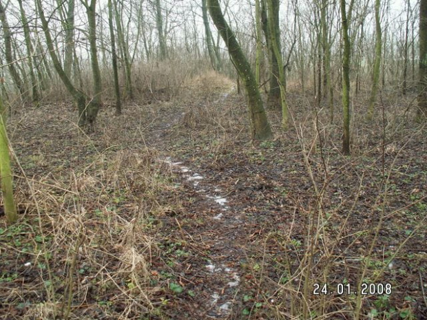 Ostatki śniegu wyznaczały naszą ścieżkę przez park