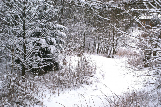 zima, zimowe widoki, winter, view #zima #ZimoweWidoki #winter #view #xnifar #rafinski