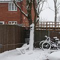 #bałwan #śnieg #drzewa #zima