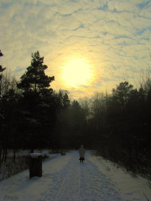 Zimowy spacerowicz #zima #spacer #niebo #słońce